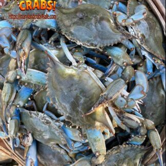 #1 grade male blue crabs